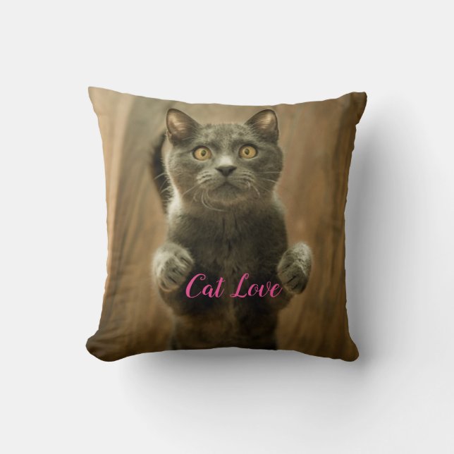 Katzen-Liebe - Geschenk für beliebtes Design Kissen (Vorderseite)