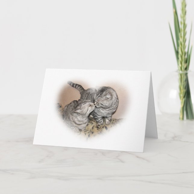 Katzen-Liebe Grußkarte Karte (Vorderseite)