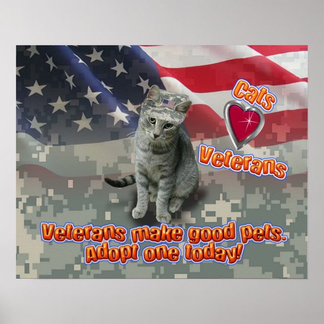 Katzen Liebe Veteranen - Plakat (Vorne)