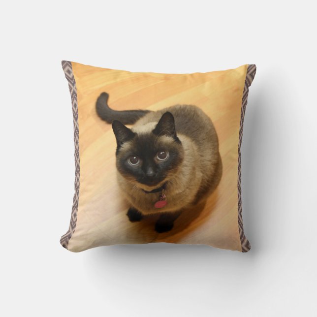 Katzen-Liebhaber-Kissen Kissen (Vorderseite)