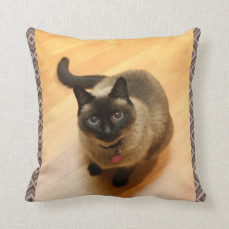 Katzen-Liebhaber-Kissen Kissen