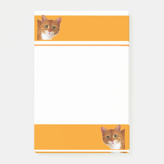 Katzen-Liebhaber-Post-Itanmerkungen Post-it Klebezettel