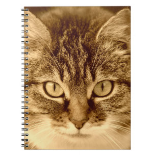 Katzen-Liebhaber-Spirale gezeichnetes Notizblock