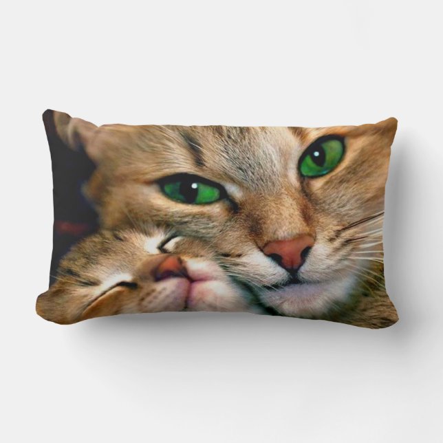 Katzen-Liebhaberlumbar-Kissen Lendenkissen (Vorderseite)