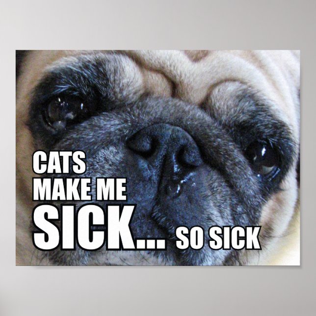 KATZEN MACHEN MICH KRANK... SO SICKEL | ALLERGY ME POSTER (Vorne)