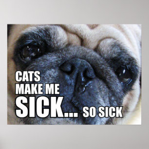 KATZEN MACHEN MICH KRANK... SO SICKEL   ALLERGY ME POSTER