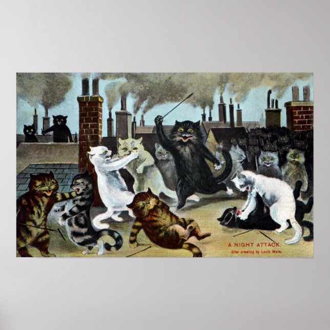 Katzen machten es auf einem Dach aus Poster (Vorne)