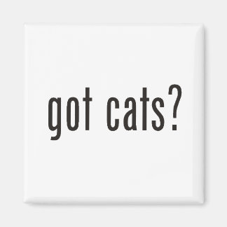 Katzen? Magnet