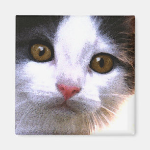 Katzen-Magnet Magnet