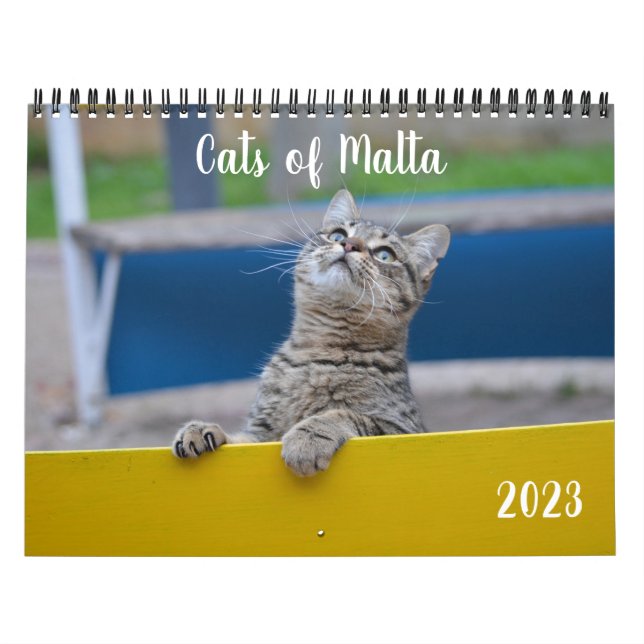 Katzen Maltas - Kalender 2023 (Titelbild)