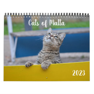 Katzen Maltas - Kalender 2023