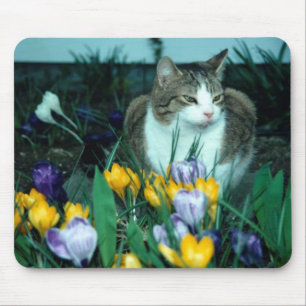 Katzen-Mausunterlage Mousepad