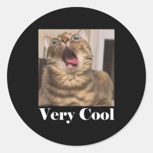 Katzen Meme Grafik Dummer Katzenhumor Lustige Katz Runder Aufkleber