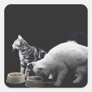 Katzen mit Schüssel Nahrung Quadratischer Aufkleber
