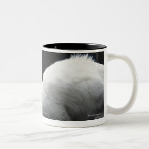Katzen mit Schüssel Nahrung Zweifarbige Tasse