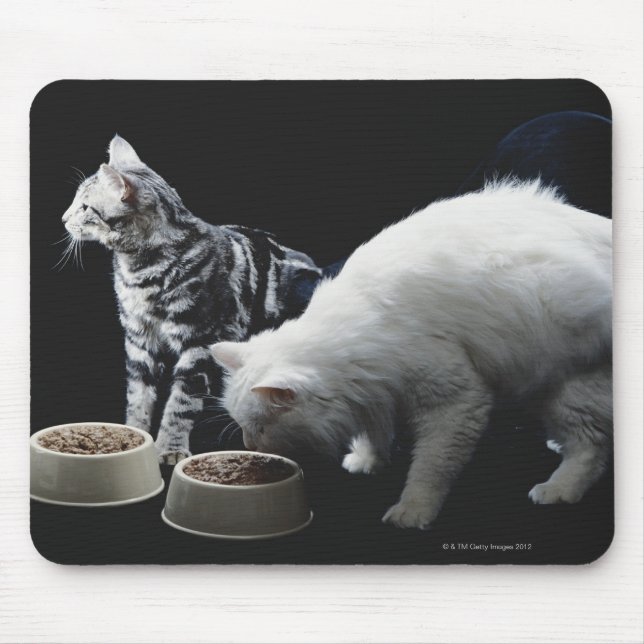 Katzen mit Schüssel zum Essen Mousepad (Vorne)