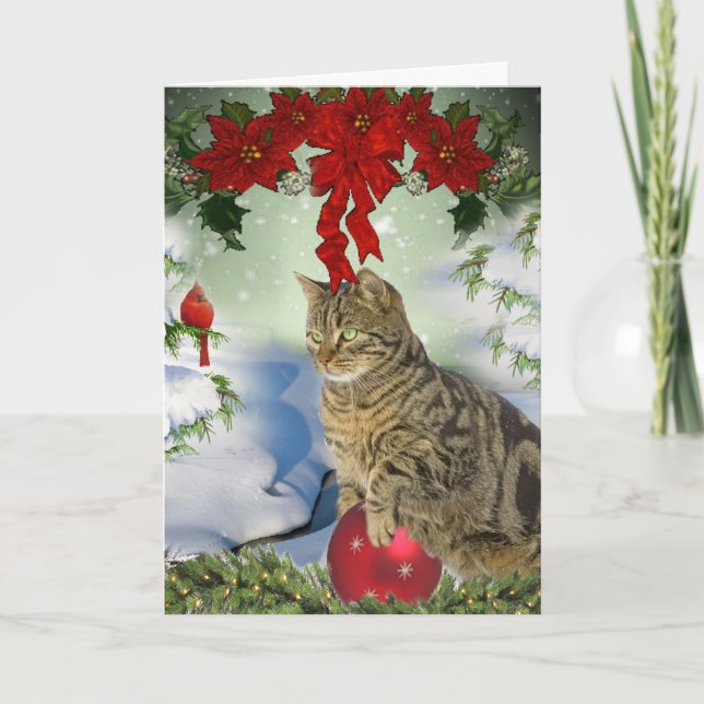 Katzen mit Weihnachtskarten Feiertagskarte (Vorderseite)