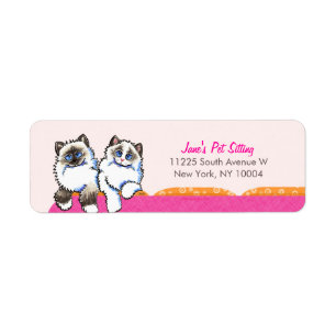 Katzen-Modell-Geschäft Ragdoll Couch-Rosa