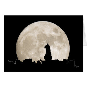 Katzen-Mond