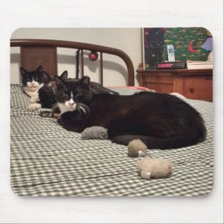 Katzen Mousepad