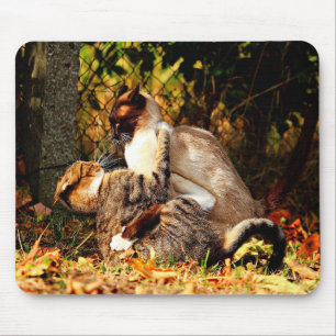 Katzen Mousepad
