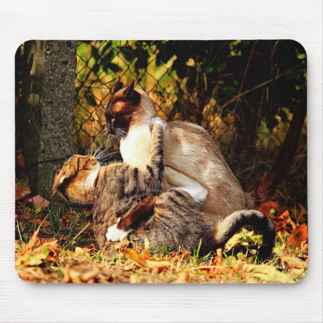 Katzen Mousepad (Vorne)