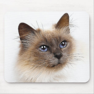 KATZEN MOUSEPAD