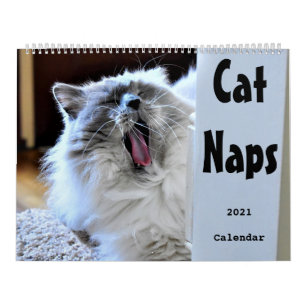 Katzen-Nickerchen 2021-Kalender Kalender
