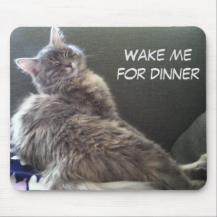 Katzen-Nickerchen: Wecken Sie mich für Abendessen Mousepad