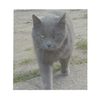 Katzen Notizblock
