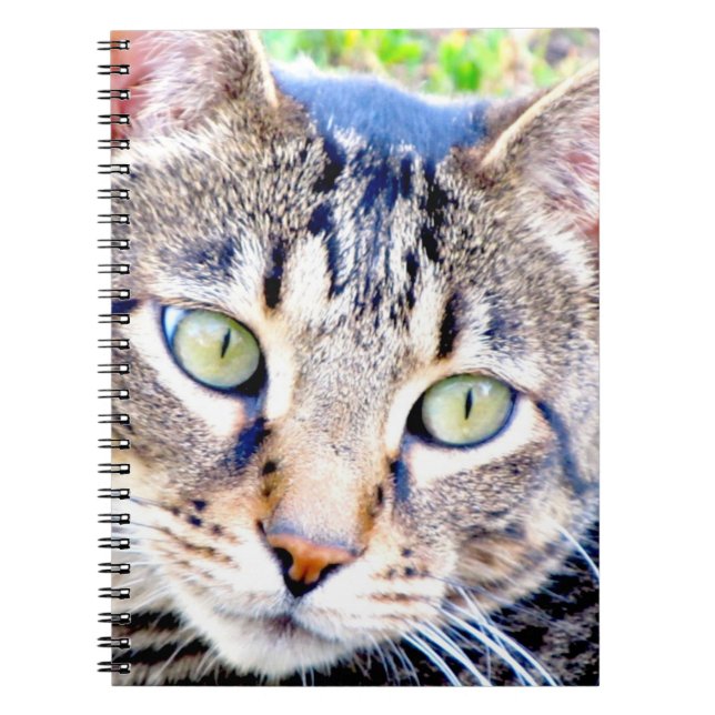 Katzen-Notizbuch Notizblock (Vorderseite)