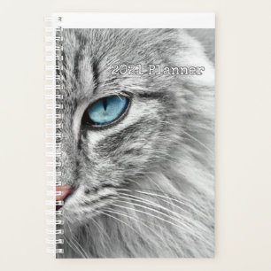 Katzen-Planer 2021 Planer