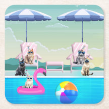 Katzen-Pool-Party