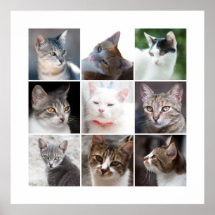 KATZEN POSTER