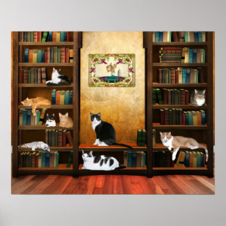 Katzen Poster