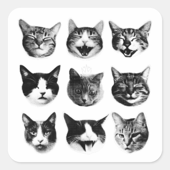 Katzen Quadratischer Aufkleber (Vorderseite)