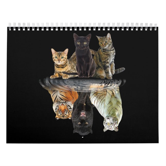 Katzen Reflection Friend Katze Liebhaber Niedlich  Kalender (Titelbild)