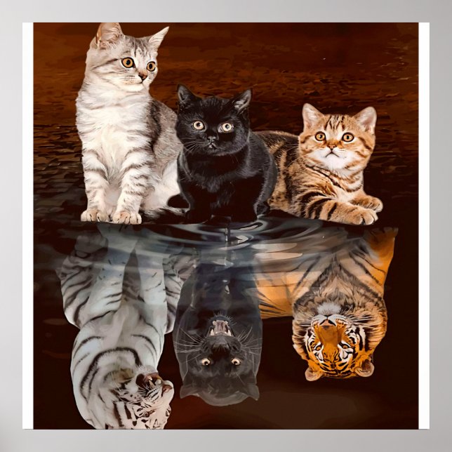 Katzen Reflektionswasser, lustige Katzen Geschenke Poster (Vorne)