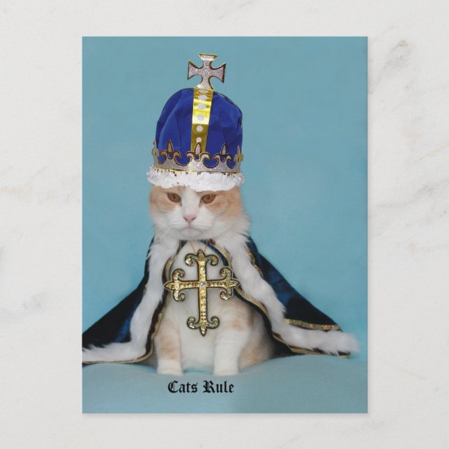 Katzen Regel Postkarte (Vorderseite)