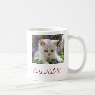 Katzen-Regel-Tasse Kaffeetasse