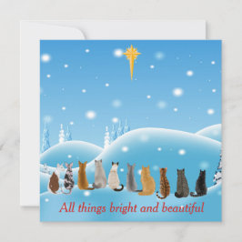 Katzen Religious Star All Dings Tiere Feiertagskarte