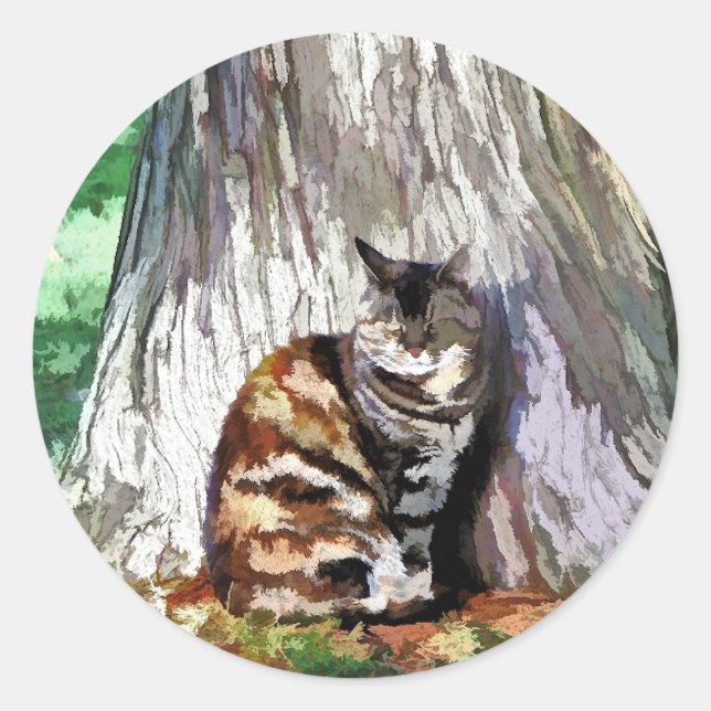 KATZEN RUNDER AUFKLEBER (Vorderseite)