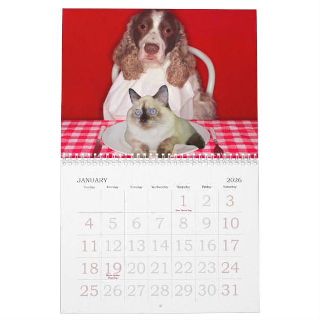 Katzen-Schleifer-Wandkalender Kalender (Jan 2026)
