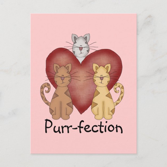 Katzen Schnurren-fection T-Shirts und Geschenke Postkarte (Vorderseite)