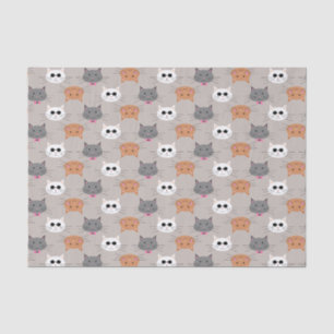 Katzen Seidenpapier