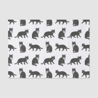 Katzen Seidenpapier