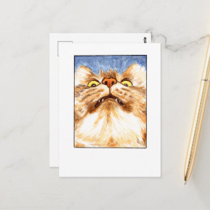Katzen Selfie-DNM-Postkarten Postkarte