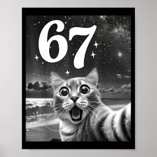 Katzen-Selfie mit 67 Meme Lustige Katzen Grafik fü Poster