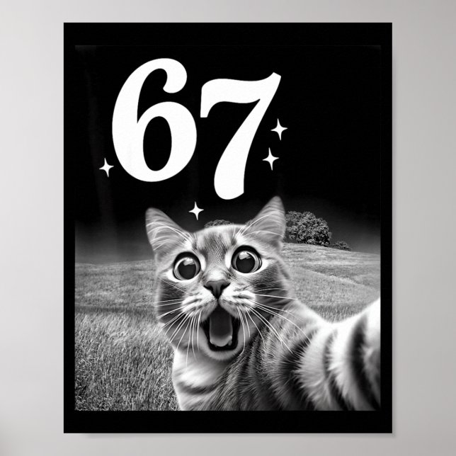 Katzen-Selfie mit 67 Meme Lustige Katzen Grafik fü Poster (Vorne)