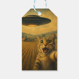 Katzen-Selfie mit Alien-UFO Lustige Katzen-Geschen Geschenkanhänger